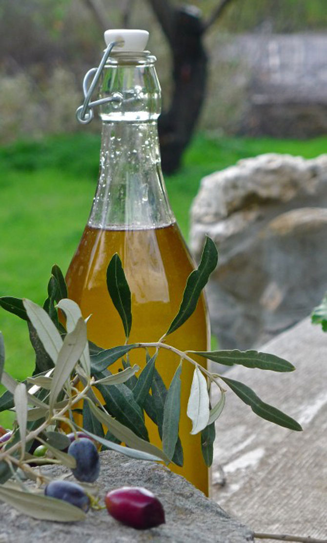 9-012-nov-23-olive-harvest-20670