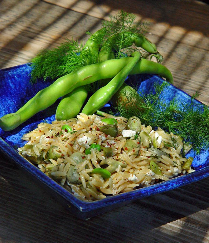 fava_orzo_risotto