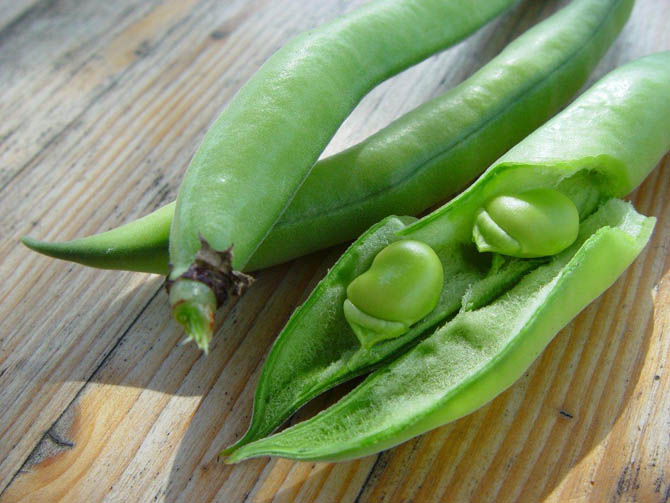 fava_pod_open_0
