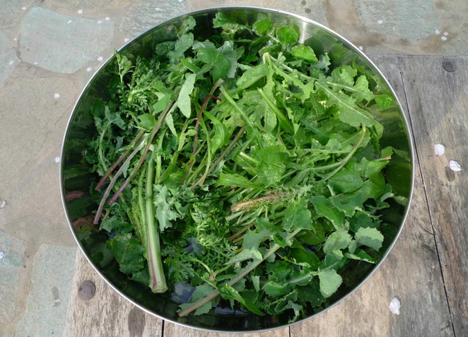 greens-horta-wahed-small