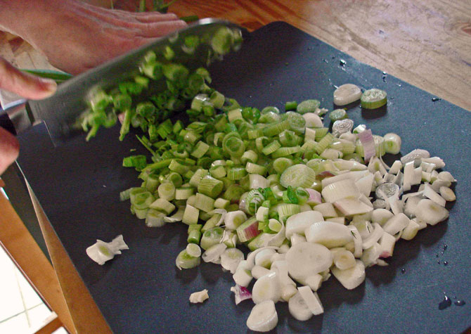 scallion-chopping1-small