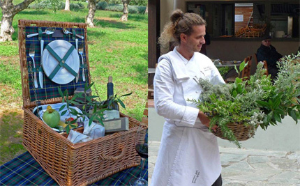 7a-Picknick-in-olive-grove_arxiki